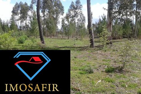 Helårsgrund i Ourem, Santarem, Ourem - € 55.000 | Ref: HD027 - foto 7