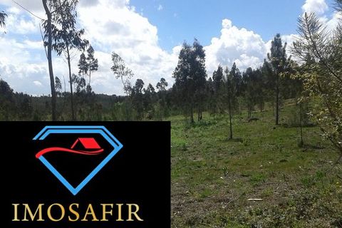 Helårsgrund i Ourem, Santarem, Ourem - € 55.000 | Ref: HD027 - foto 10