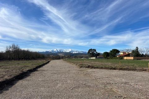 Terra a Thuir, Pyrenees-Orientales, Thuir - € 88.900 | Ref: ES - foto 3