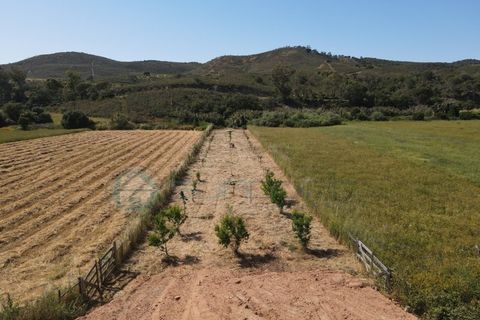 Helårsgrund i Bordeira, Faro, Bordeira - € 21.500 | Ref: T1695 - foto 1