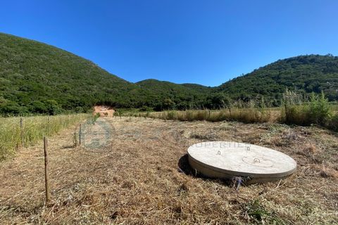 Helårsgrund i Bordeira, Faro, Bordeira - € 21.500 | Ref: T1695 - foto 3