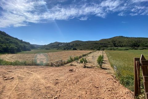 Helårsgrund i Bordeira, Faro, Bordeira - € 21.500 | Ref: T1695 - foto 5