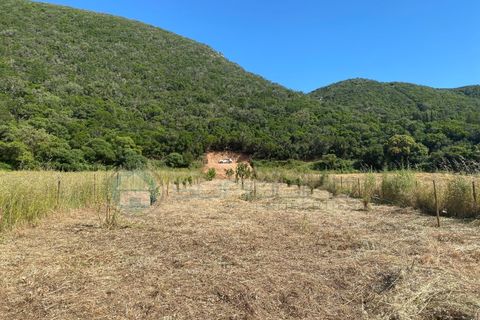 Helårsgrund i Bordeira, Faro, Bordeira - € 21.500 | Ref: T1695 - foto 6