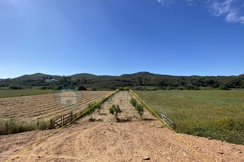 Helårsgrund i Bordeira, Faro, Bordeira - € 21.500 | Ref: T1695 - foto 7
