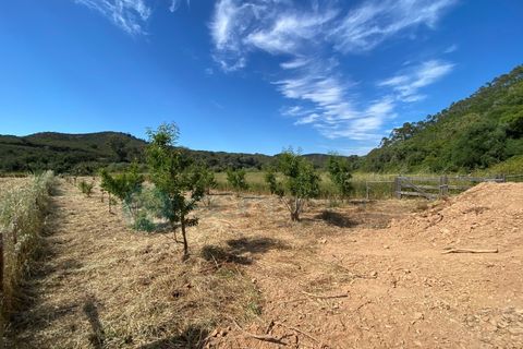 Helårsgrund i Bordeira, Faro, Bordeira - € 21.500 | Ref: T1695 - foto 8