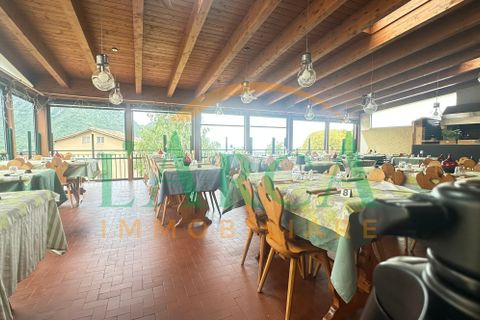 Erhvervsejendom i Zone, Brescia, Zone - € 630.000 | Ref: 9572 - foto 10