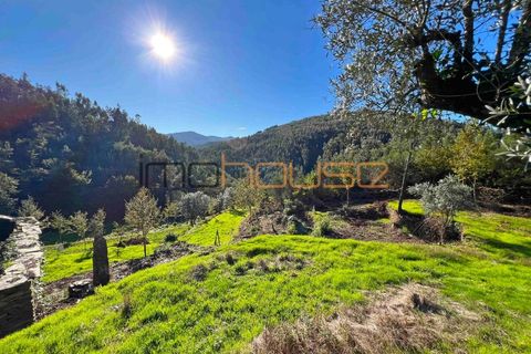 Terra a Arouca, Aveiro, Arouca - € 520.000 | Ref: 00658FR-1 - foto 19