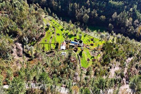 Terra a Arouca, Aveiro, Arouca - € 520.000 | Ref: 00658FR-1 - foto 2