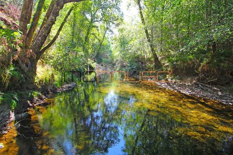 Terra a Arouca, Aveiro, Arouca - € 520.000 | Ref: 00658FR-1 - foto 3
