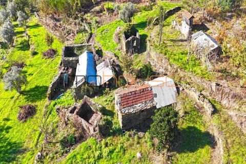 Terra a Arouca, Aveiro, Arouca - € 520.000 | Ref: 00658FR-1 - foto 6