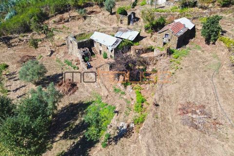 Terra a Arouca, Aveiro, Arouca - € 520.000 | Ref: 00658FR-1 - foto 8