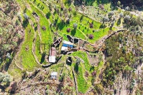 Terra a Arouca, Aveiro, Arouca - € 520.000 | Ref: 00658FR-1 - foto 10