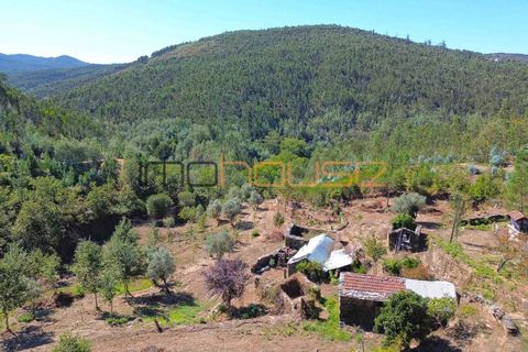 Terra a Arouca, Aveiro, Arouca - € 520.000 | Ref: 00658FR-1 - foto 12