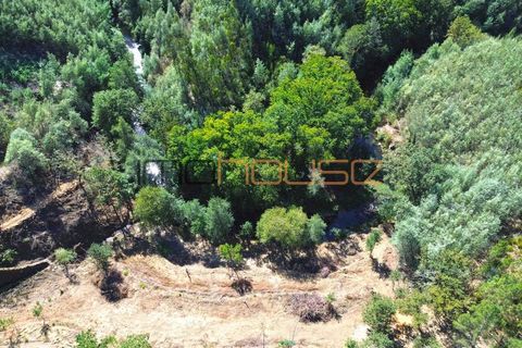 Terra a Arouca, Aveiro, Arouca - € 520.000 | Ref: 00658FR-1 - foto 16