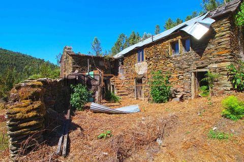 Terra a Arouca, Aveiro, Arouca - € 520.000 | Ref: 00658FR-1 - foto 17