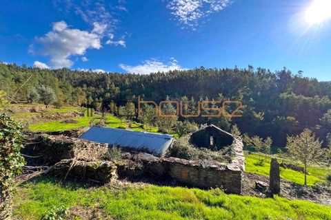 Terra a Arouca, Aveiro, Arouca - € 520.000 | Ref: 00658FR-1 - foto 18