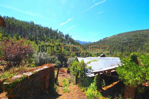 Terra a Arouca, Aveiro, Arouca - € 520.000 | Ref: 00658FR-1 - foto 21