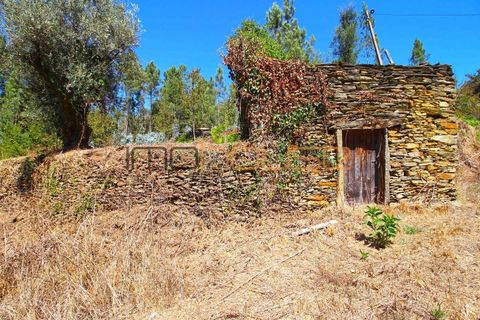 Terra a Arouca, Aveiro, Arouca - € 520.000 | Ref: 00658FR-1 - foto 23