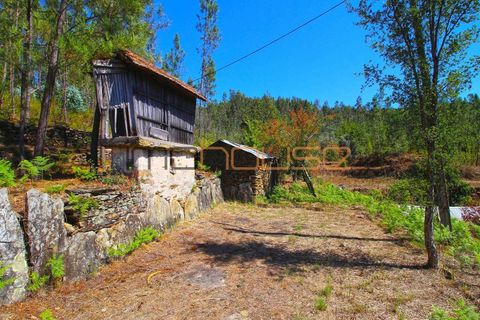 Terra a Arouca, Aveiro, Arouca - € 520.000 | Ref: 00658FR-1 - foto 24