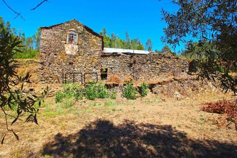 Terra a Arouca, Aveiro, Arouca - € 520.000 | Ref: 00658FR-1 - foto 26