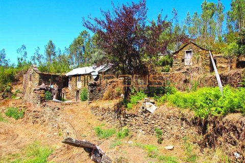Terra a Arouca, Aveiro, Arouca - € 520.000 | Ref: 00658FR-1 - foto 27