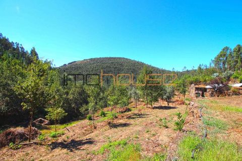 Terra a Arouca, Aveiro, Arouca - € 520.000 | Ref: 00658FR-1 - foto 29