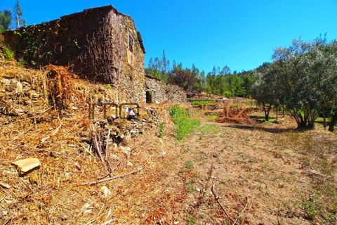 Terra a Arouca, Aveiro, Arouca - € 520.000 | Ref: 00658FR-1 - foto 32