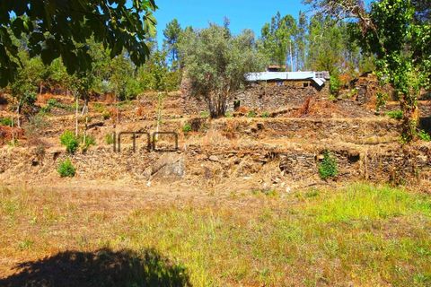 Terra a Arouca, Aveiro, Arouca - € 520.000 | Ref: 00658FR-1 - foto 34