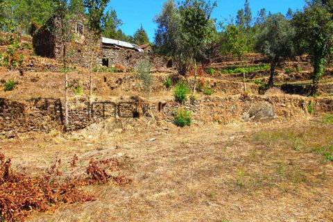 Terra a Arouca, Aveiro, Arouca - € 520.000 | Ref: 00658FR-1 - foto 35