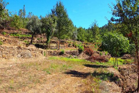 Terra a Arouca, Aveiro, Arouca - € 520.000 | Ref: 00658FR-1 - foto 36