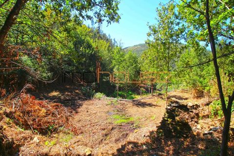 Terra a Arouca, Aveiro, Arouca - € 520.000 | Ref: 00658FR-1 - foto 37