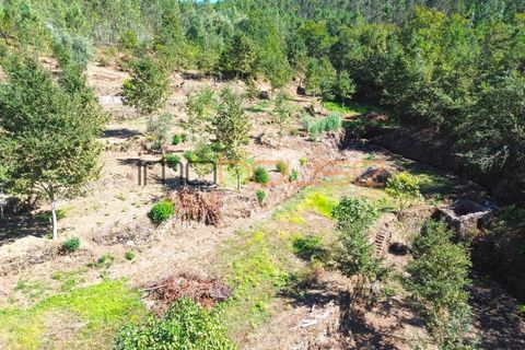 Terra a Arouca, Aveiro, Arouca - € 520.000 | Ref: 00658FR-1 - foto 39