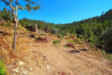 Terra a Arouca, Aveiro, Arouca - € 520.000 | Ref: 00658FR-1 - foto 42