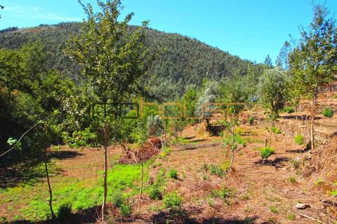 Terra a Arouca, Aveiro, Arouca - € 520.000 | Ref: 00658FR-1 - foto 43