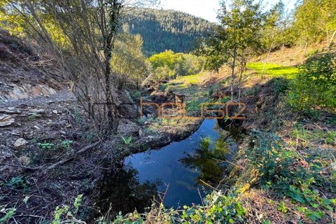 Terra a Arouca, Aveiro, Arouca - € 520.000 | Ref: 00658FR-1 - foto 45