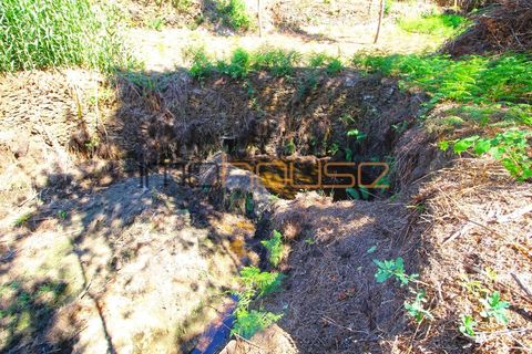 Terra a Arouca, Aveiro, Arouca - € 520.000 | Ref: 00658FR-1 - foto 47
