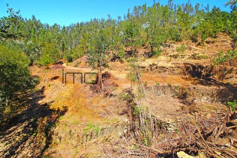 Terra a Arouca, Aveiro, Arouca - € 520.000 | Ref: 00658FR-1 - foto 48