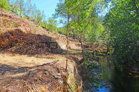 Terra a Arouca, Aveiro, Arouca - € 520.000 | Ref: 00658FR-1 - foto 50