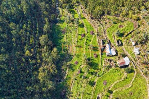 Terreno en Arouca, Aveiro, Arouca - € 520.000 | Ref: 00658FR-1 - photo 1