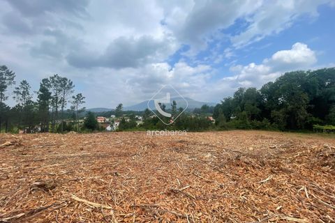 Terra a Ponte de Lima, Viana do Castelo, Ponte de Lima - € 65.000 | Ref: AV6356 - foto 2