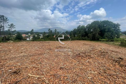 Terra a Ponte de Lima, Viana do Castelo, Ponte de Lima - € 65.000 | Ref: AV6356 - foto 3