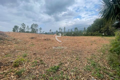 Terra a Ponte de Lima, Viana do Castelo, Ponte de Lima - € 65.000 | Ref: AV6356 - foto 5