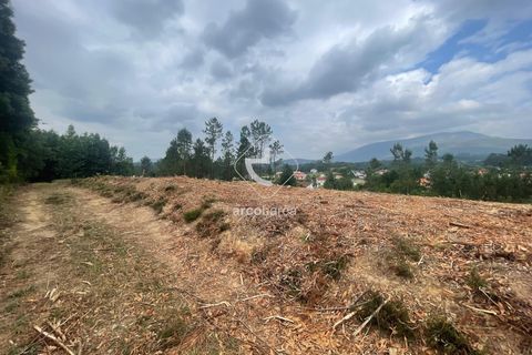 Terra a Ponte de Lima, Viana do Castelo, Ponte de Lima - € 65.000 | Ref: AV6356 - foto 6