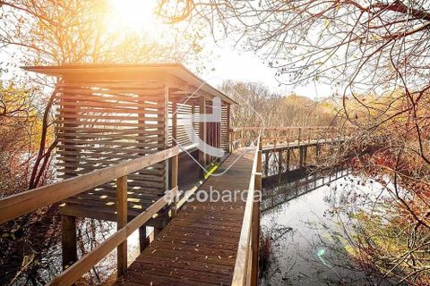 Terra a Ponte de Lima, Viana do Castelo, Ponte de Lima - € 65.000 | Ref: AV6356 - foto 8