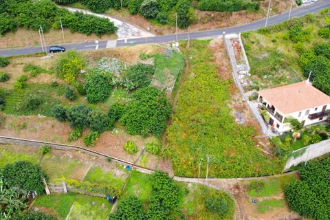 Helårsgrund i Machico, Madeira, Machico - € 69.500 | Ref: 8036 - foto 4