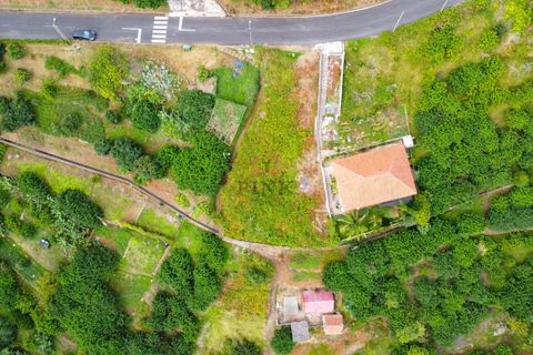 Helårsgrund i Machico, Madeira, Machico - € 69.500 | Ref: 8036 - foto 5