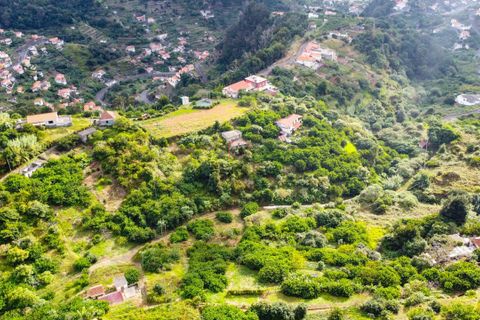 Helårsgrund i Machico, Madeira, Machico - € 69.500 | Ref: 8036 - foto 7