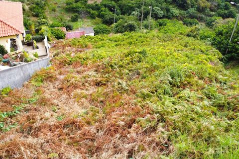 Helårsgrund i Machico, Madeira, Machico - € 69.500 | Ref: 8036 - foto 10