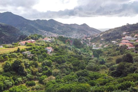 Helårsgrund i Machico, Madeira, Machico - € 69.500 | Ref: 8036 - foto 13