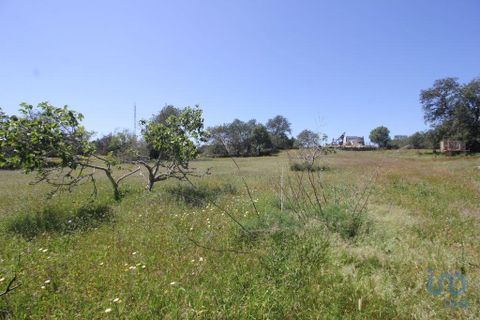 Helårsgrund i Albufeira, Faro, Albufeira - € 400.000 | Ref: 142591 - foto 27
